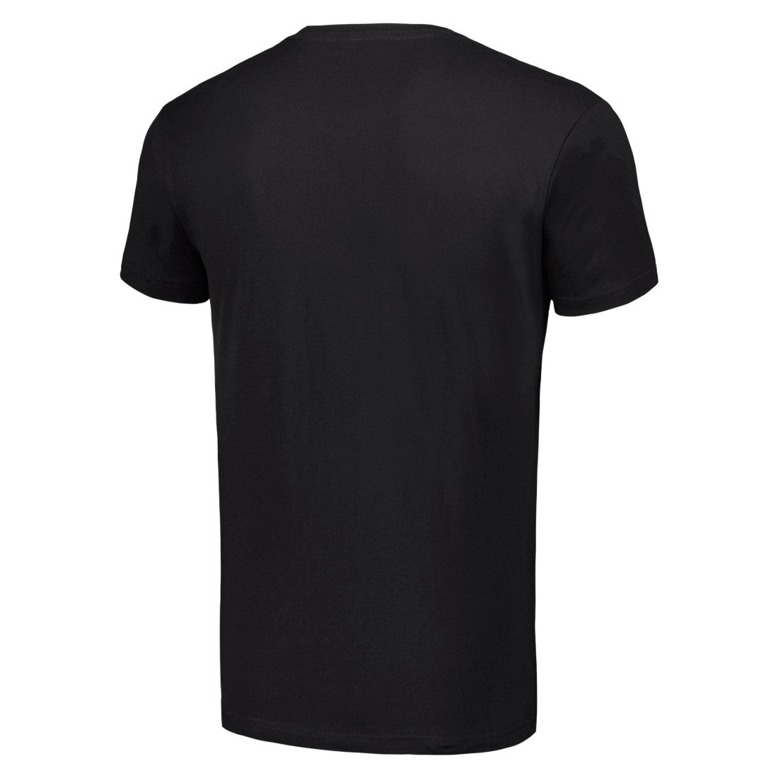 Detroit Lions Starter Logo T-Shirt - Black T-shirts