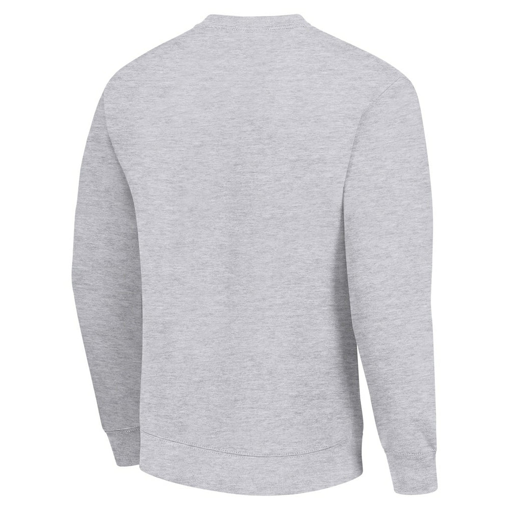 Washington Commanders Starter Team Mesh Print Graphic Pullover Sweatshirt - Heather Gray Pullover