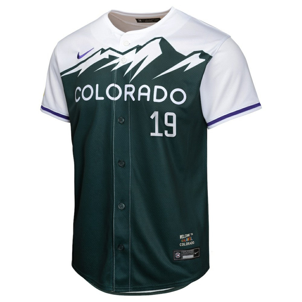 Charlie Blackmon Colorado Rockies Nike Youth City Connect Limited Player Jersey - Green Jerseys