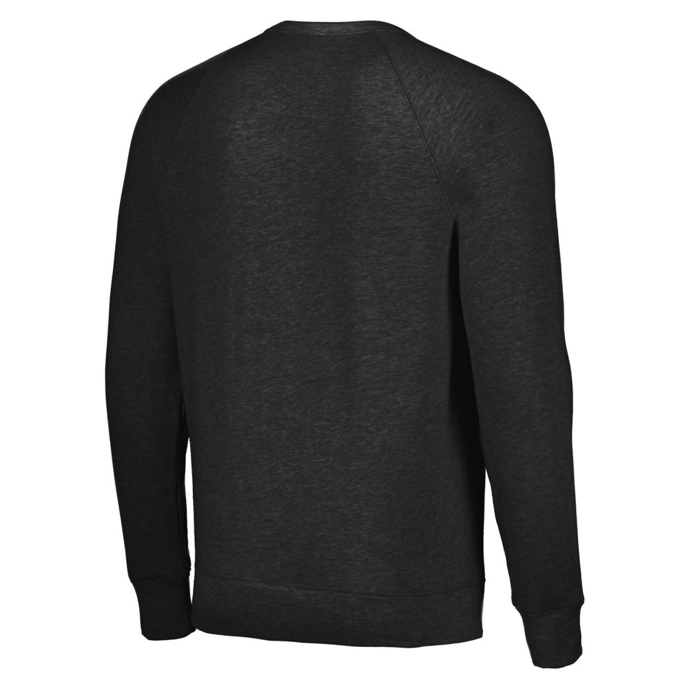 Houston Texans Homage Unisex Color Rush Crest Tri-Blend Pullover Sweatshirt - Charcoal Pullover