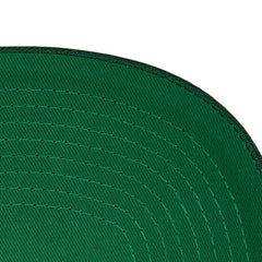 Minnesota Wild Mitchell & Ness Core Team Ground Pro Adjustable Hat - Green | US 201387182