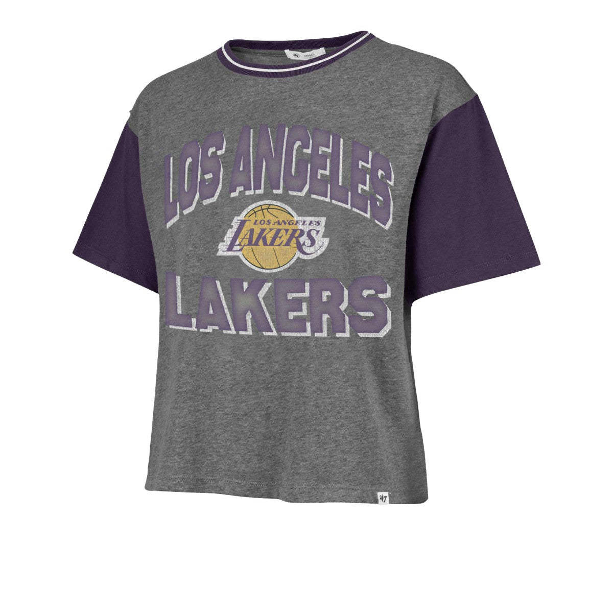 Los Angeles Lakers '47 Women's Rise Clubhouse Ziggy Color Block T-Shirt Gray - 47 brand
