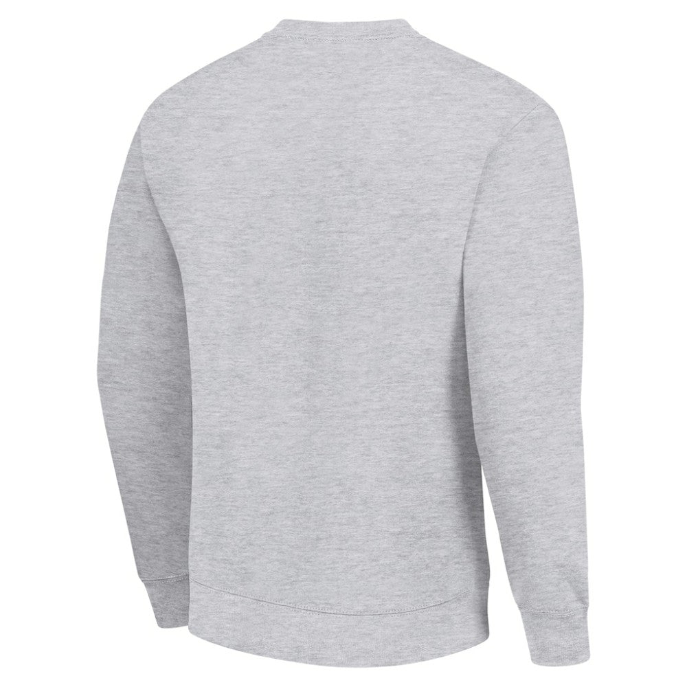 San Jose Sharks Starter Player Grid Fleece Pullover Sweatshirt - Heather Gray | US 201424753
