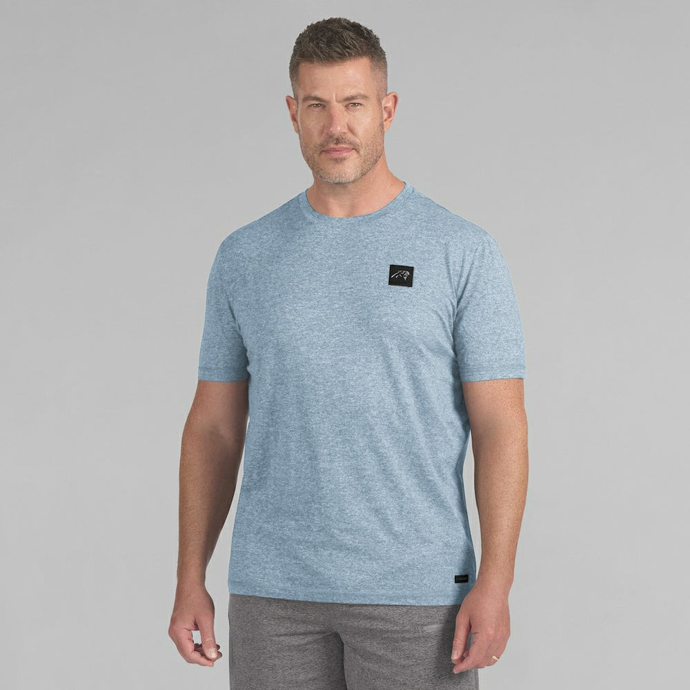 Carolina Panthers J. Palmer Four Down T-Shirt - Blue T-shirts