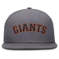 San Francisco Giants Nike Performance True Fitted Hat - Gray Hats