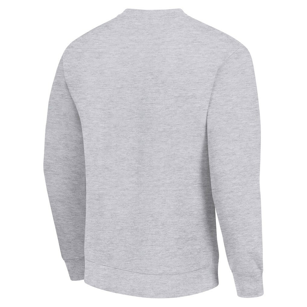 Green Bay Packers Starter Color Scratch Team Graphic Fleece Pullover Sweatshirt - Heather Gray Pullover
