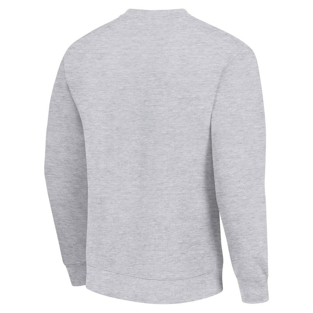 Green Bay Packers Starter Color Scratch Team Graphic Fleece Pullover Sweatshirt - Heather Gray Pullover