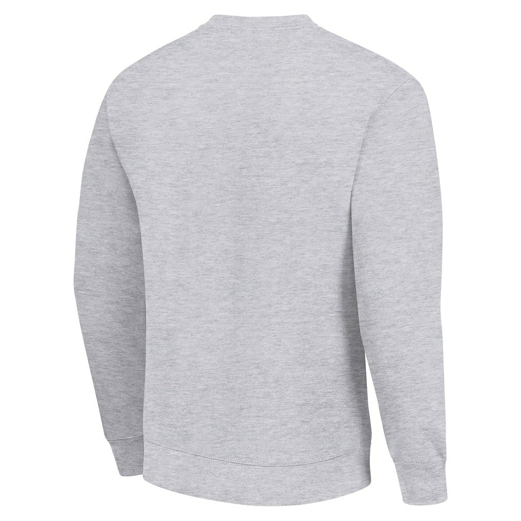 Minnesota Vikings Starter Color Scratch Team Graphic Fleece Pullover Sweatshirt - Heather Gray Pullover