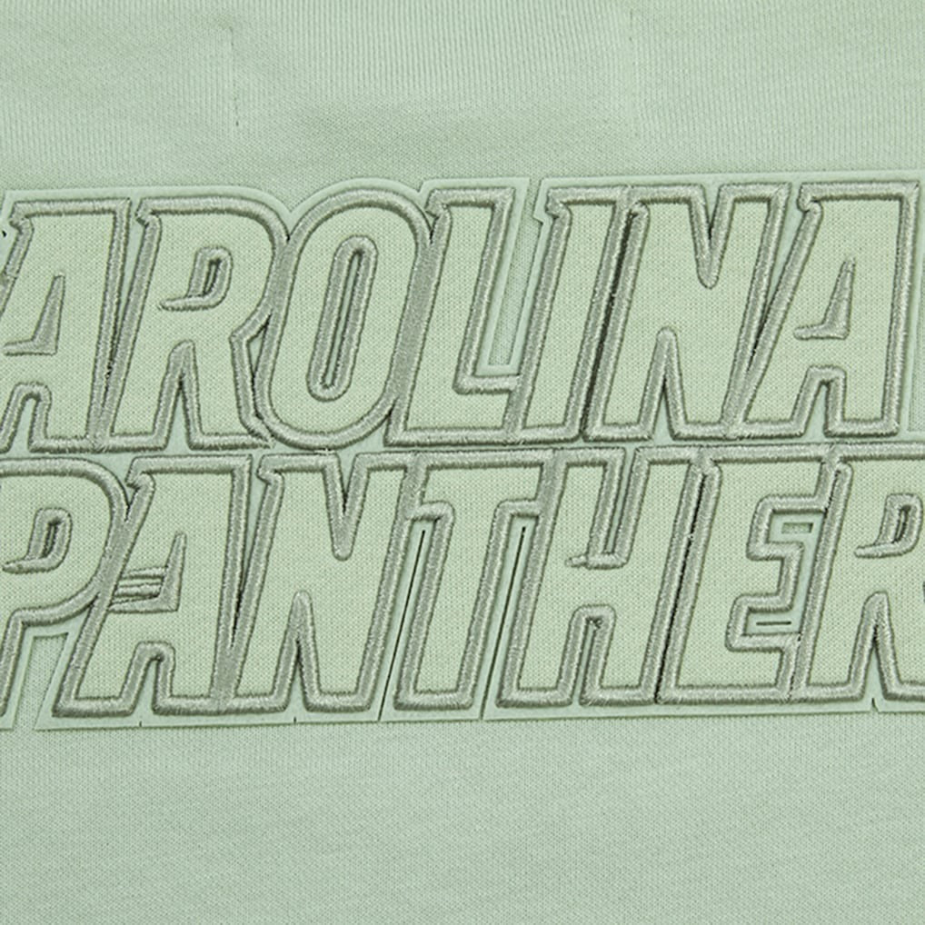 Carolina Panthers Pro Standard Women's Oversized Cropped Neutral Pullover Sweatshirt - Light Green Pullover