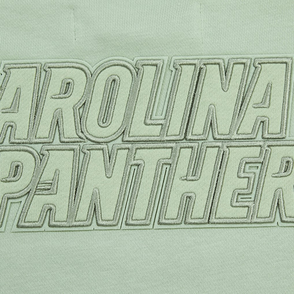 Carolina Panthers Pro Standard Women's Oversized Cropped Neutral Pullover Sweatshirt - Light Green Pullover