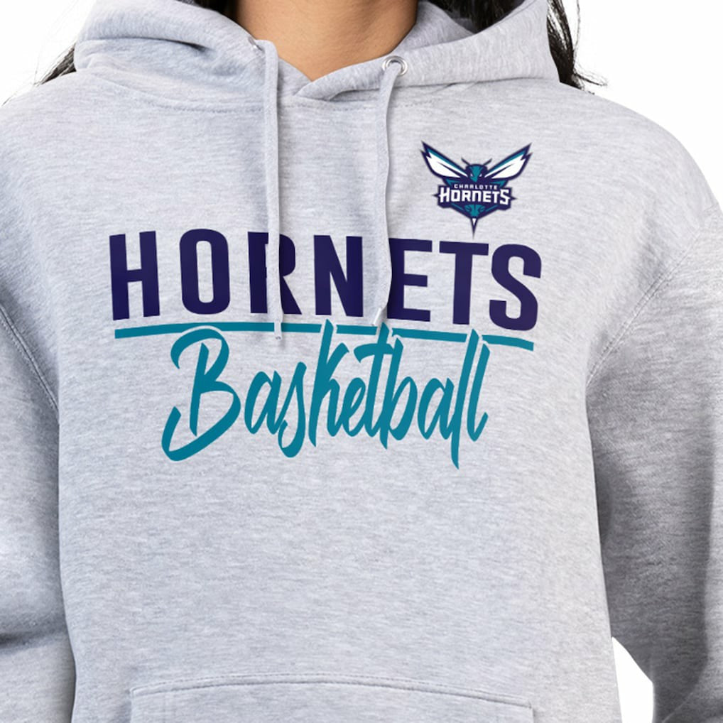 Charlotte Hornets G-III 4Her by Carl Banks Women's Graphics Fleece Pullover Hoodie Heather Gray outlet