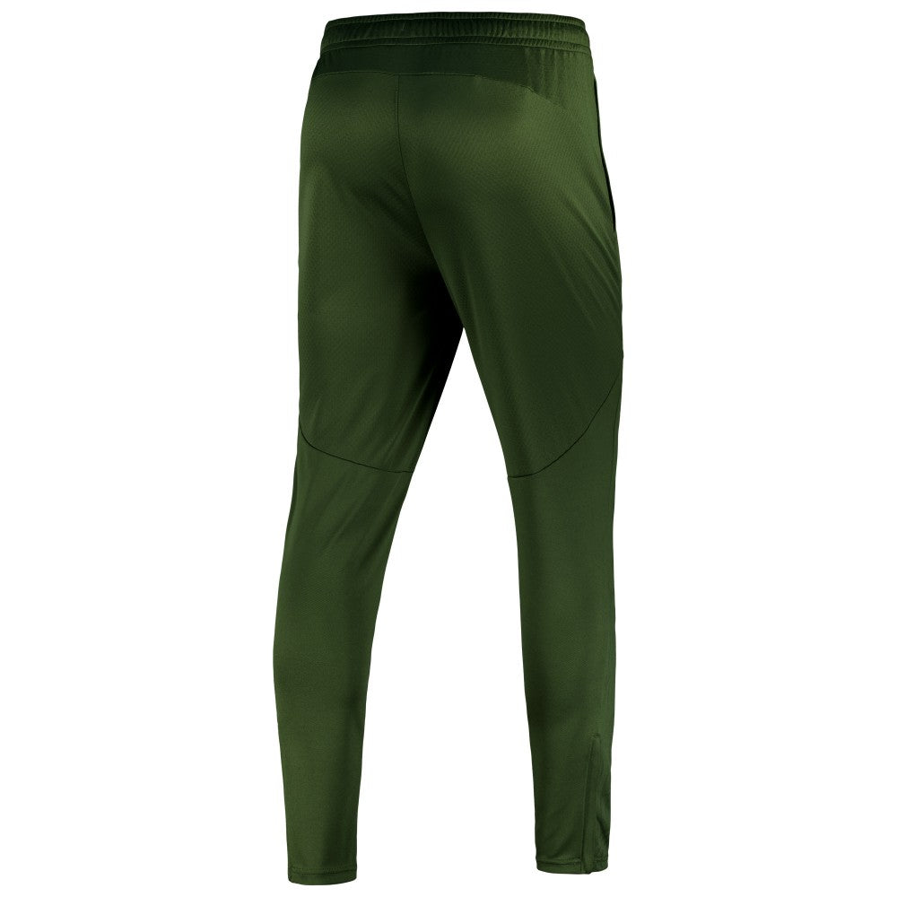 Manchester City 2024/25 dryCELL Training Pants Sky Forest Green - Puma for sale