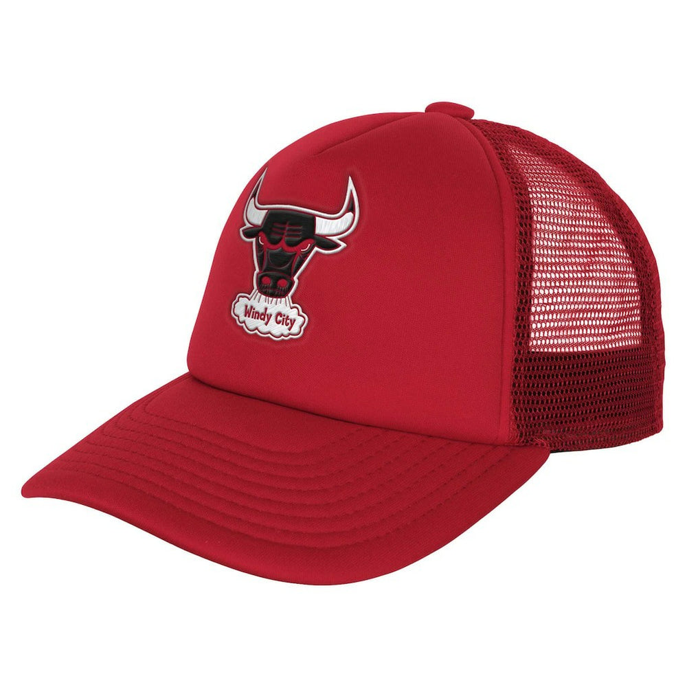 Chicago Bulls Youth Core Evergreen Trucker Adjustable Hat Red - Mitchell & Ness