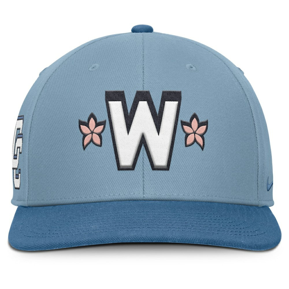 Washington Nationals Nike 2025 City Connect Pro Performance Snapback Hat - Light Blue/Blue Hats