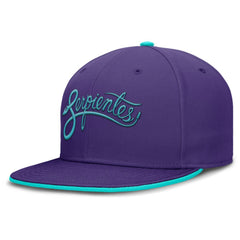 Arizona Diamondbacks Nike 2025 City Connect True Performance Fitted Hat - Purple Hats