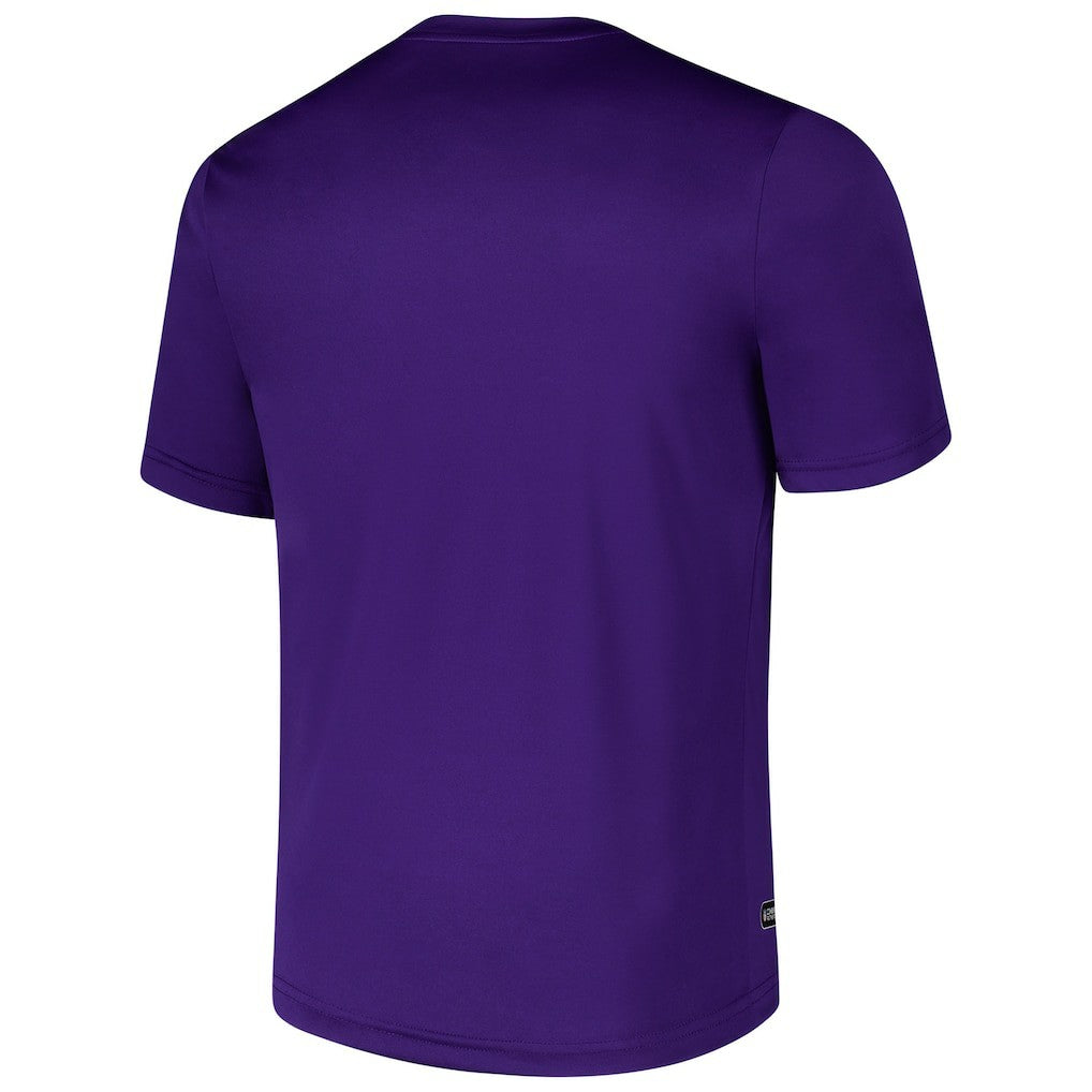 Minnesota Vikings Stadium Retro T-Shirt - Purple T-shirts