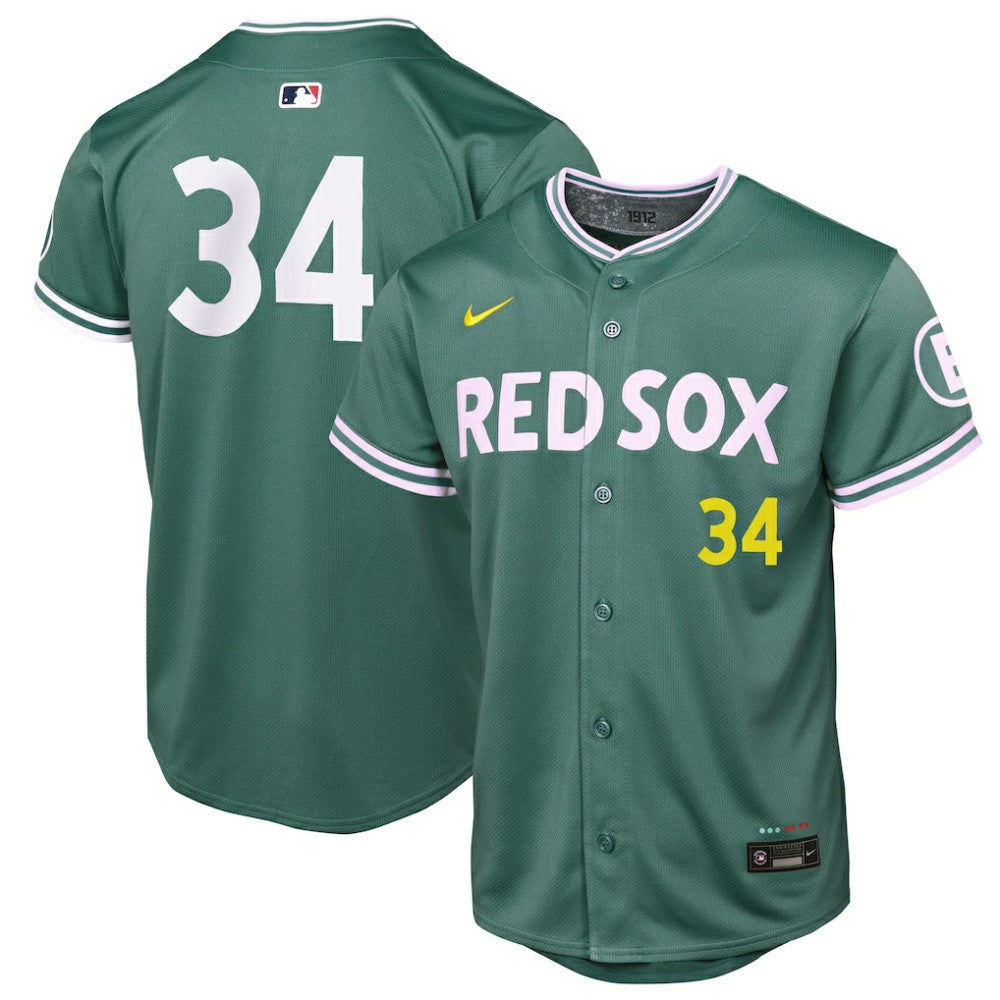 David Ortiz Boston Red Sox Nike Youth 2025 City Connect Limited Retired Player Jersey - Green Jerseys