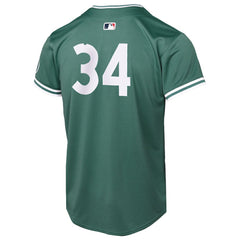 David Ortiz Boston Red Sox Nike Youth 2025 City Connect Limited Retired Player Jersey - Green Jerseys