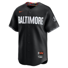 Adley Rutschman Baltimore Orioles Nike City Connect Limited Jersey - Black Jerseys