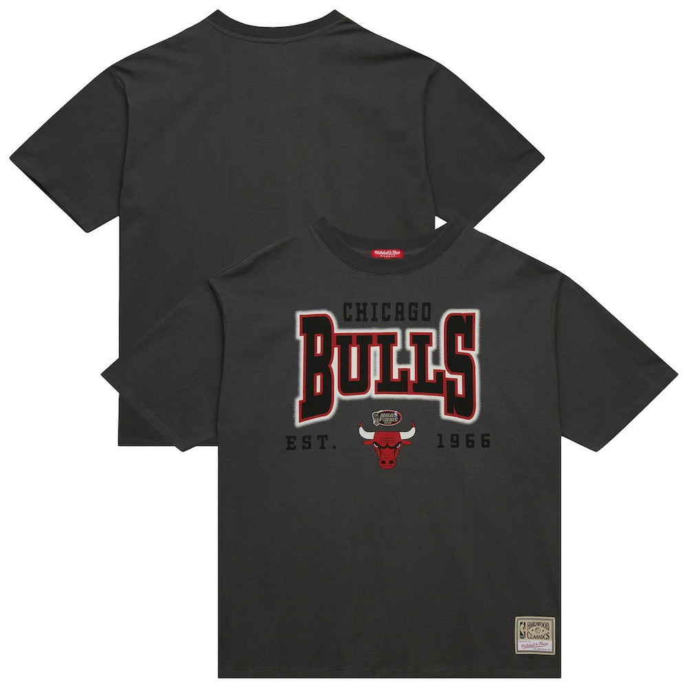 Chicago Bulls Women's Hardwood Classics Oversized Boyfriend T-Shirt Charcoal - Mitchell & Ness