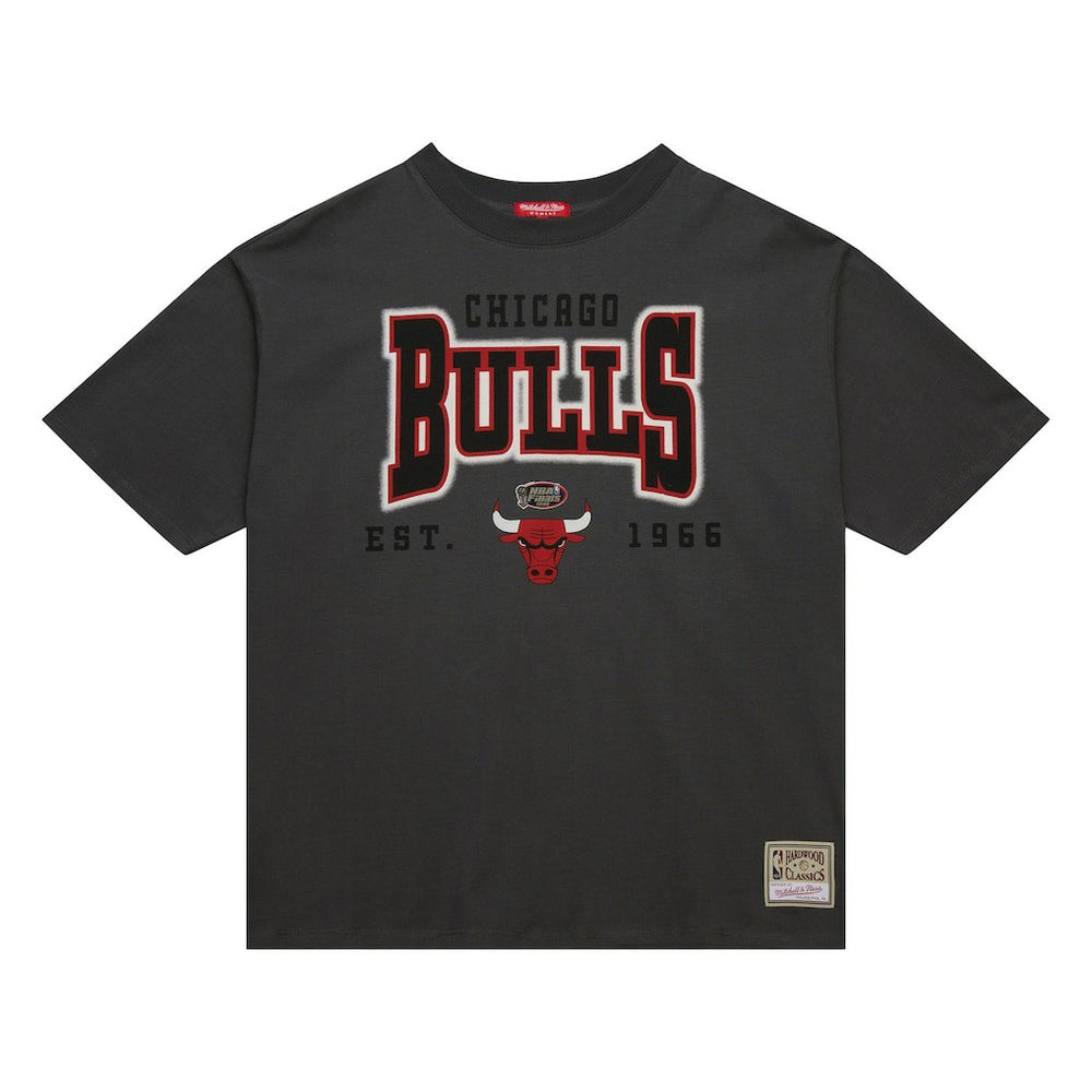 Chicago Bulls Women's Hardwood Classics Oversized Boyfriend T-Shirt Charcoal - Mitchell & Ness