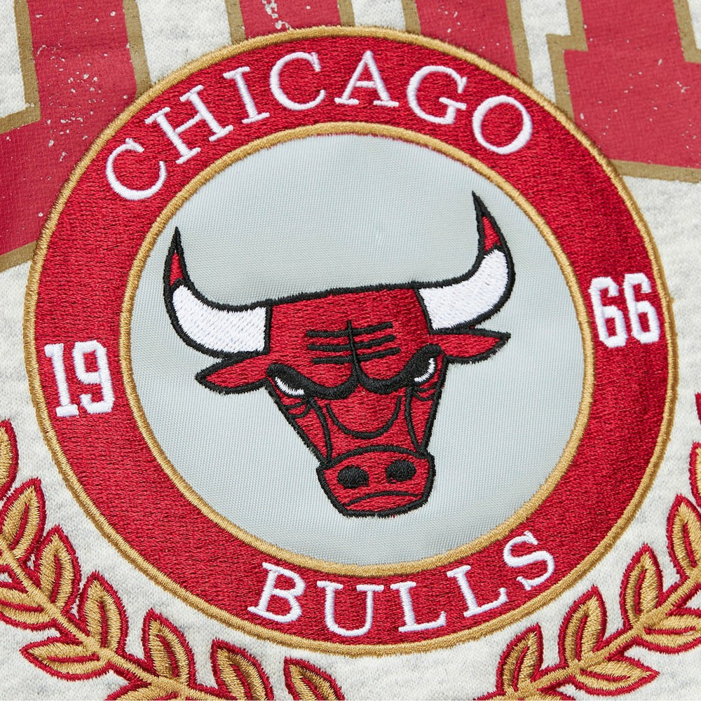 Chicago Bulls Vintage Logo Pullover Sweatshirt Heather Gray - Mitchell & Ness