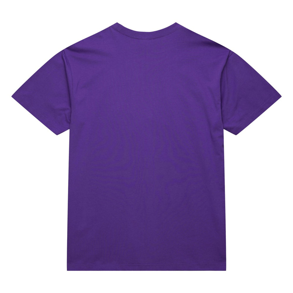 Toronto Raptors Hardwood Classics Neon Nights Premium T-Shirt Raptors Purple - Mitchell & Ness