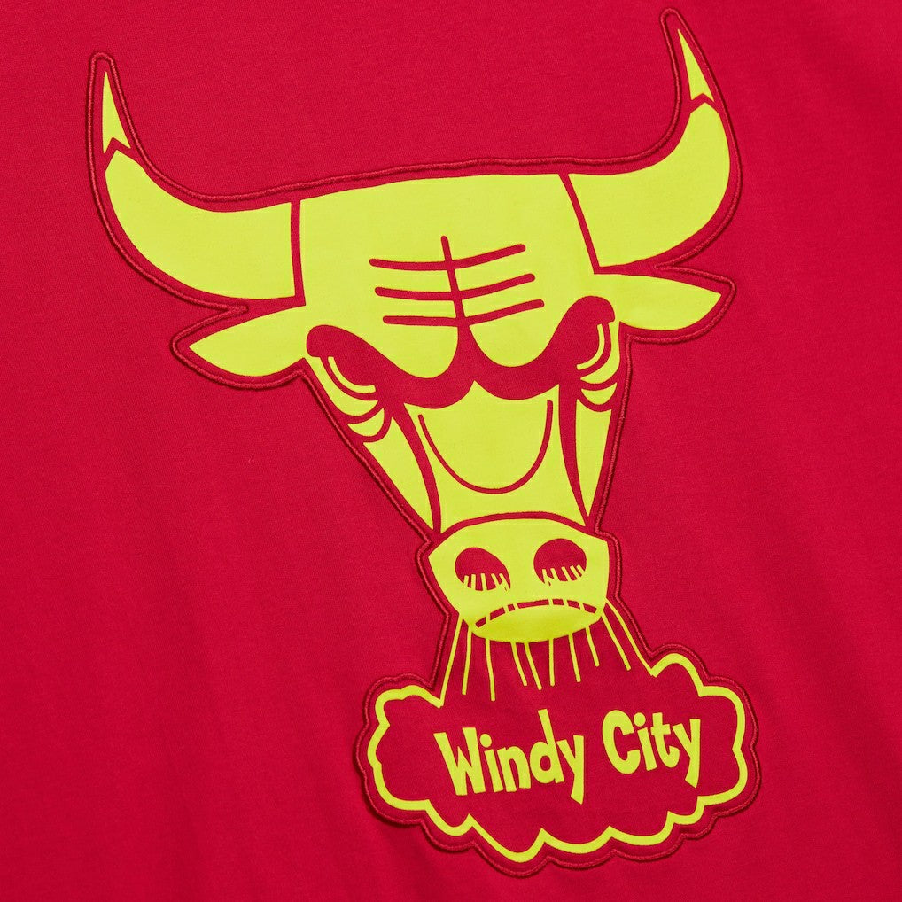 Chicago Bulls Hardwood Classics Neon Nights Premium T-Shirt Red - Mitchell & Ness outlet