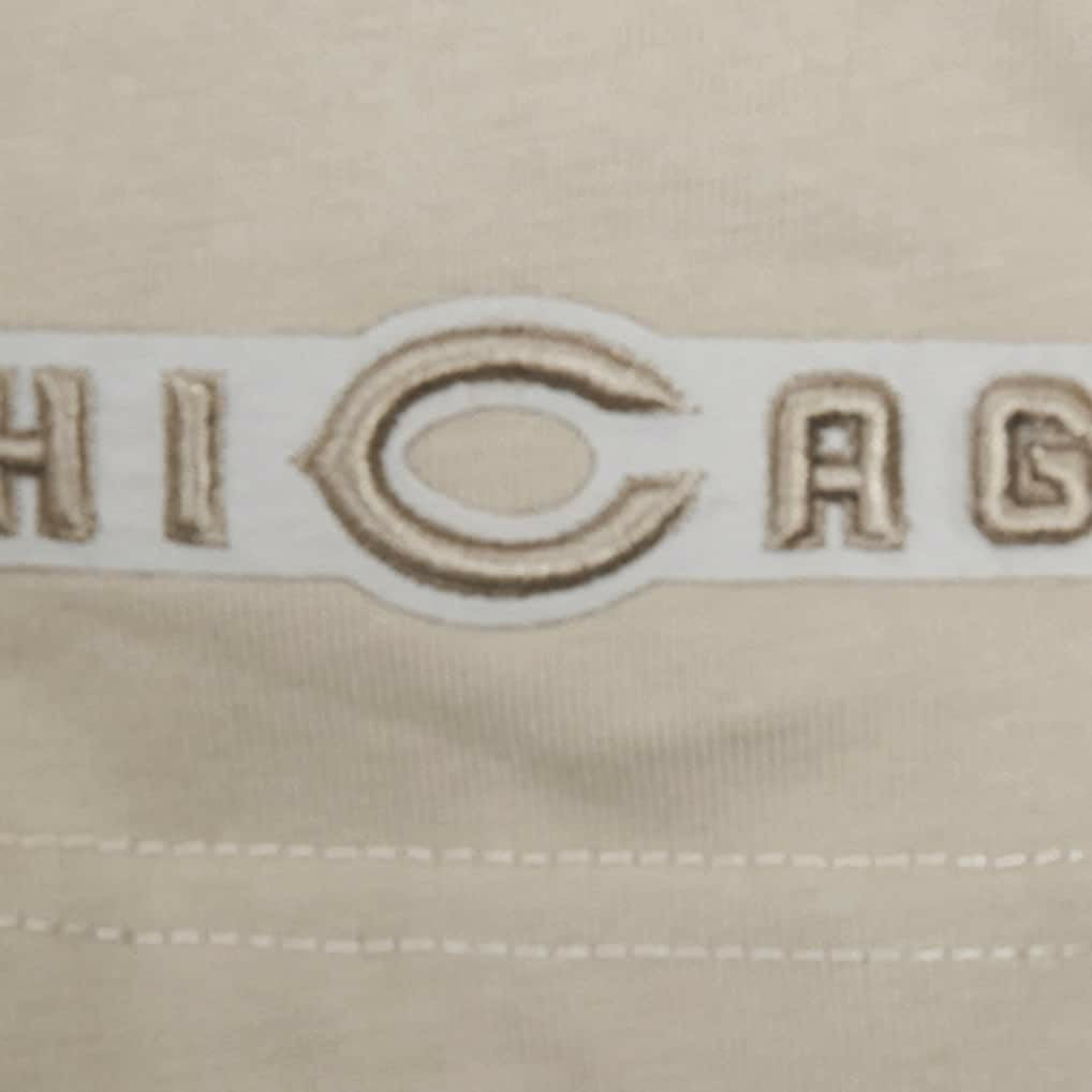 Chicago Bears Pro Standard Neutrals Capsule Short Sleeve Pullover Hoodie - Tan Hoodies