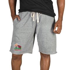 Arizona Cardinals Concepts Sport Mainstream Tri-Blend Shorts - Gray Shorts