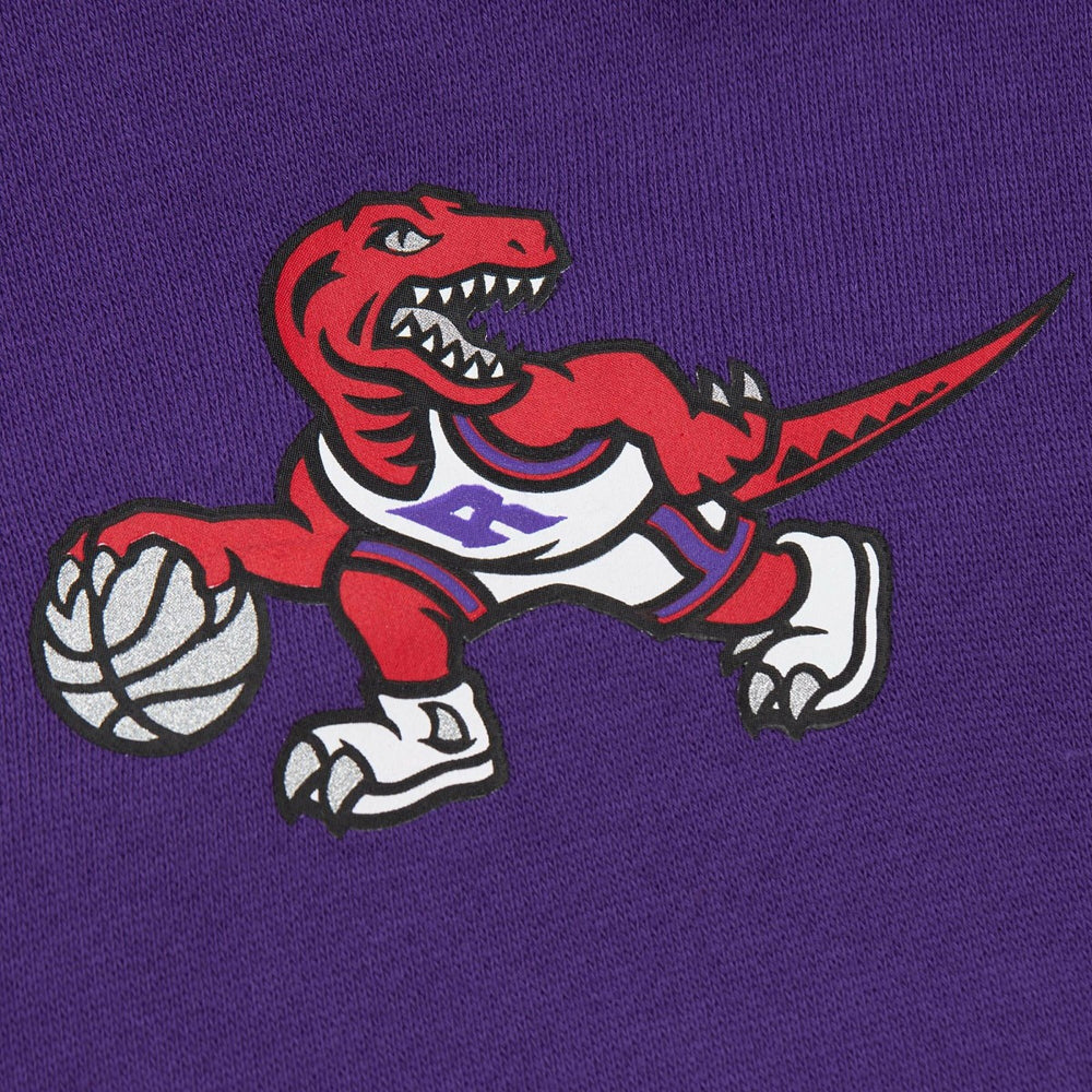 Toronto Raptors Hardwood Classics There & Back 2.0 Vintage Pullover Sweatshirt Purple - Mitchell & Ness outlet