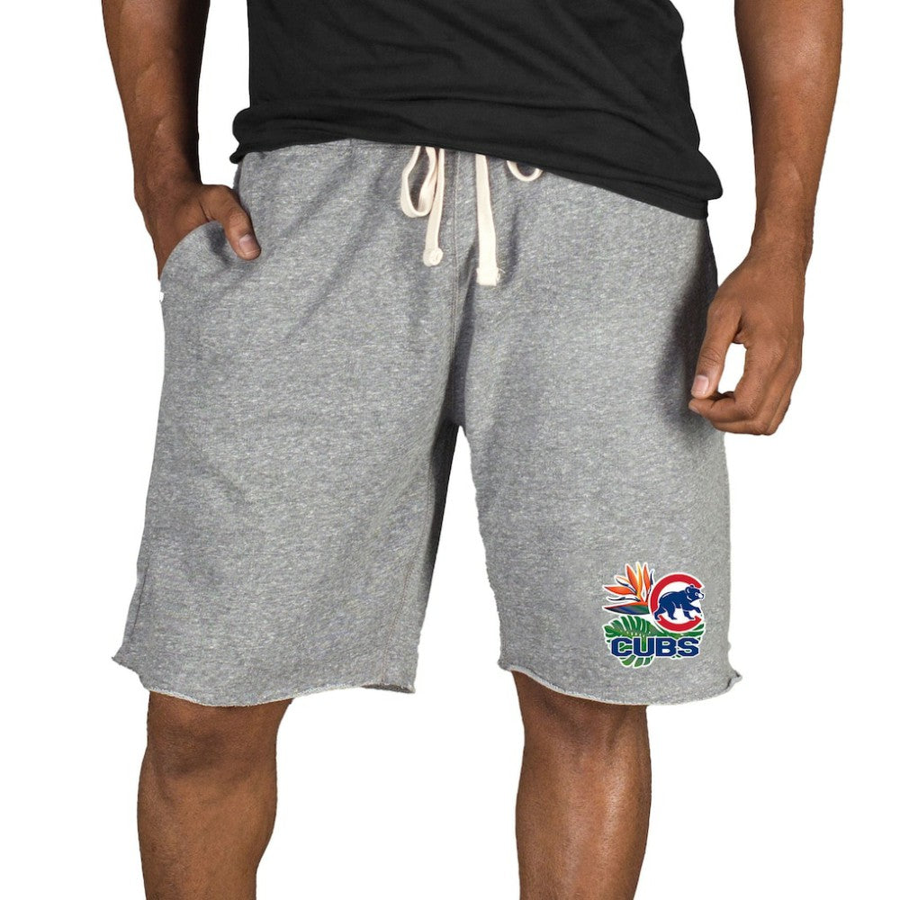 Chicago Cubs Concepts Sport Mainstream Tri-Blend Shorts - Gray Shorts