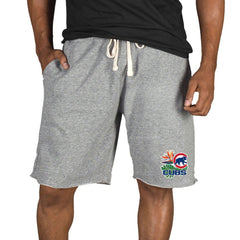 Chicago Cubs Concepts Sport Mainstream Tri-Blend Shorts - Gray Shorts