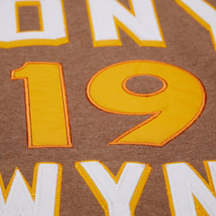 Tony Gwynn San Diego Padres Mitchell & Ness Legends Collection Vintage Logo Name & Number Fleece Pullover Sweatshirt - Brown Pullover