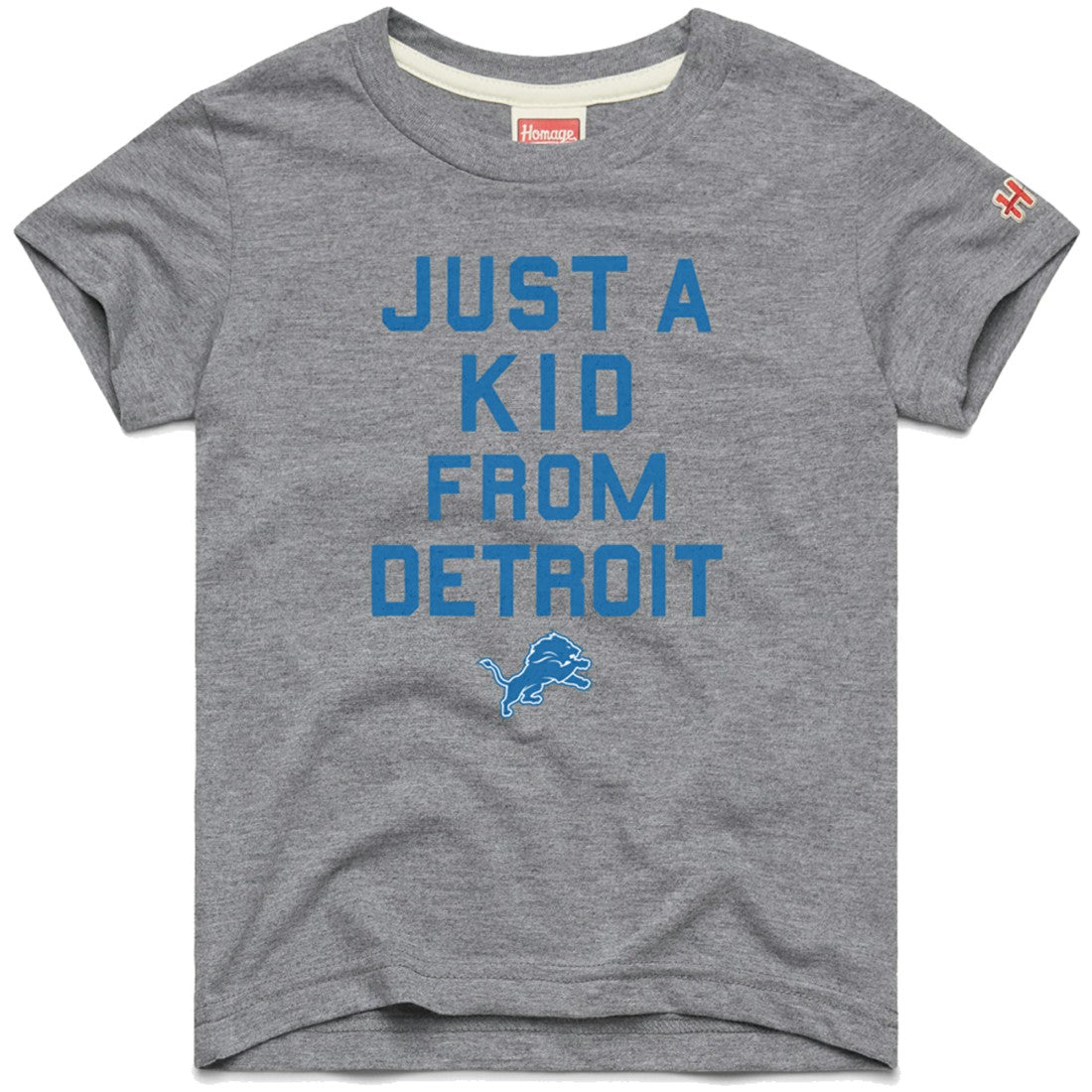 Detroit Lions Homage Youth Just a Kid Tri-Blend T-Shirt - Gray T-shirts