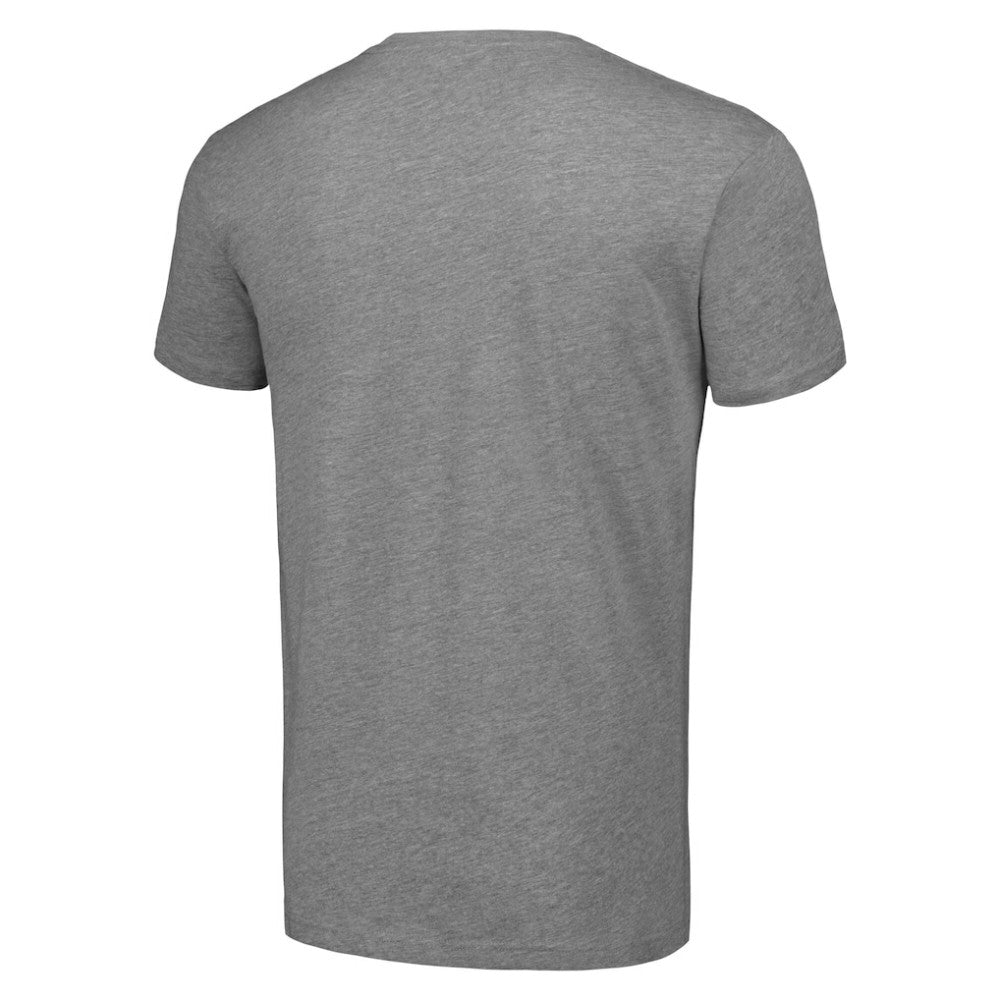 Anaheim Ducks Starter Logo T-Shirt - Heather Gray | US 202216148