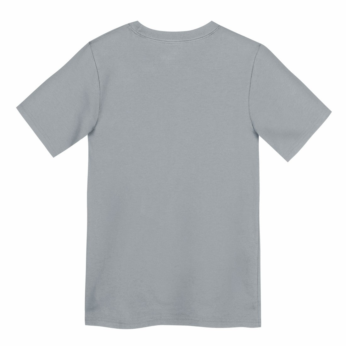 Detroit Lions Preschool Icon Legend Dri-FIT T-Shirt - Gray T-shirts