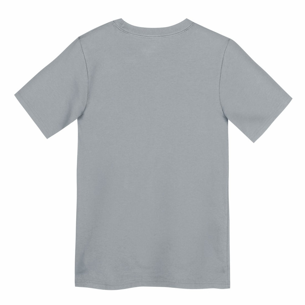 Detroit Lions Preschool Icon Legend Dri-FIT T-Shirt - Gray T-shirts