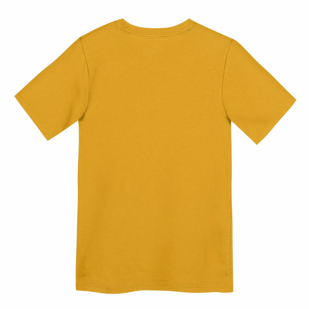 Green Bay Packers Preschool Icon Legend Dri-FIT T-Shirt - Gold T-shirts