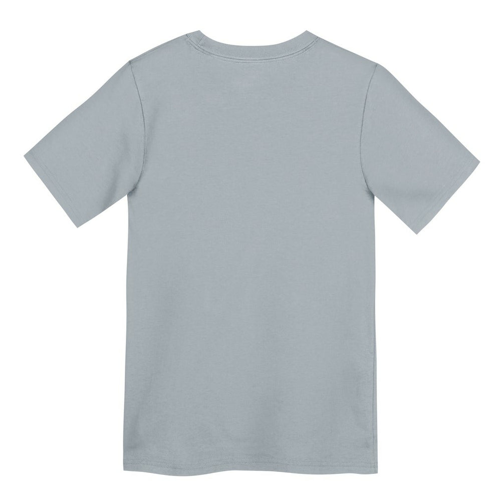 Las Vegas Raiders Preschool Icon Legend Dri-FIT T-Shirt - Gray T-shirts