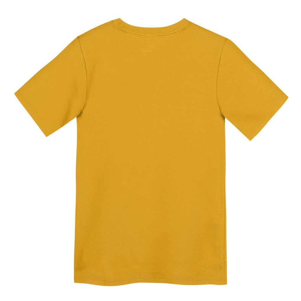 Pittsburgh Steelers Preschool Icon Legend Dri-FIT T-Shirt - Gold T-shirts