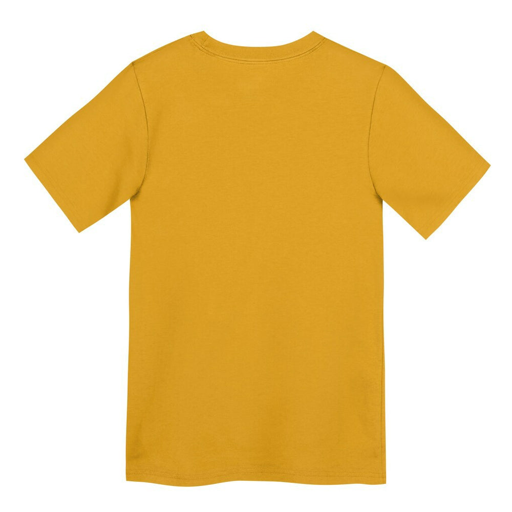 Pittsburgh Steelers Preschool Icon Legend Dri-FIT T-Shirt - Gold T-shirts