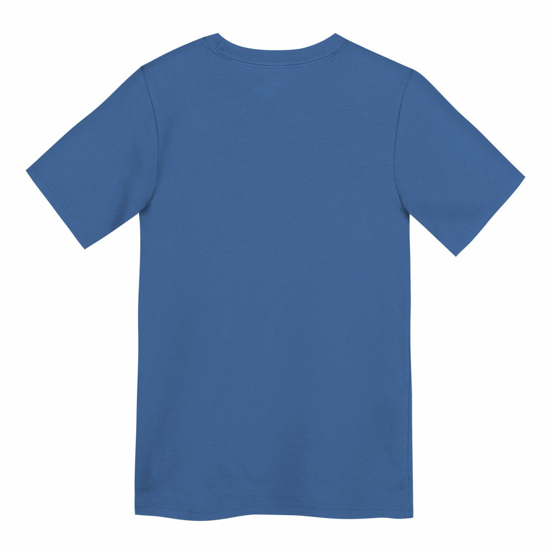 Detroit Lions Preschool Primary Logo Legend Performance T-Shirt - Blue T-shirts