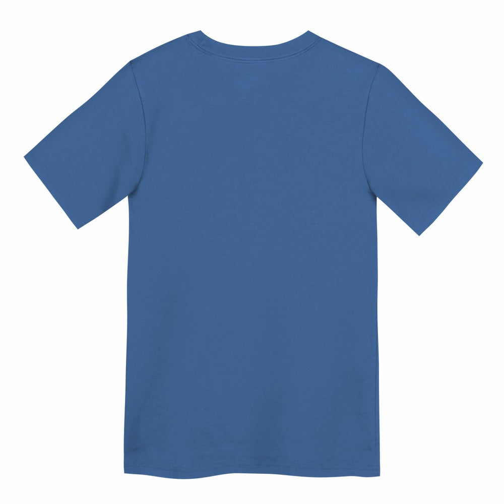 Detroit Lions Preschool Primary Logo Legend Performance T-Shirt - Blue T-shirts