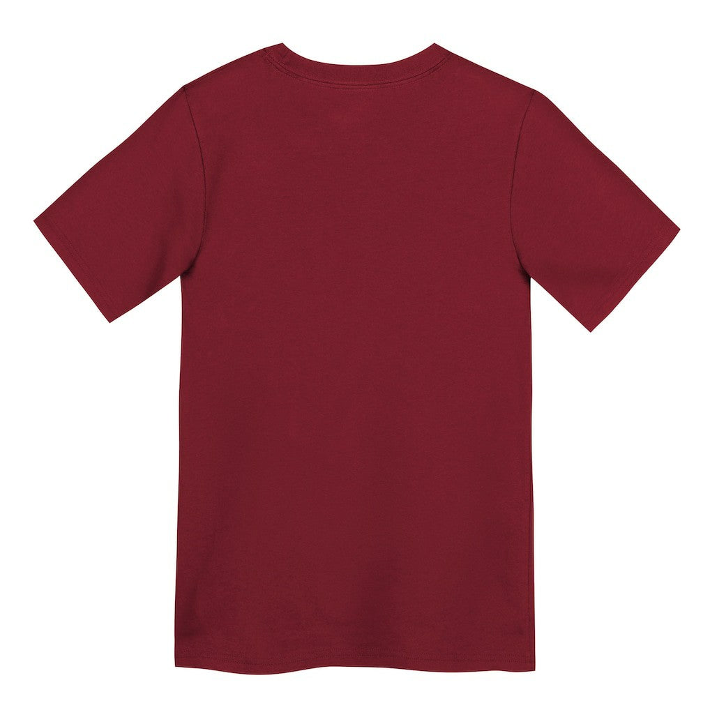 San Francisco 49ers Preschool Primary Logo Legend Performance T-Shirt - Scarlet T-shirts