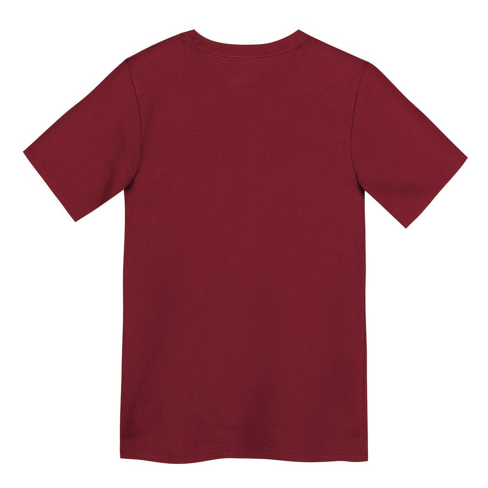 San Francisco 49ers Preschool Primary Logo Legend Performance T-Shirt - Scarlet T-shirts