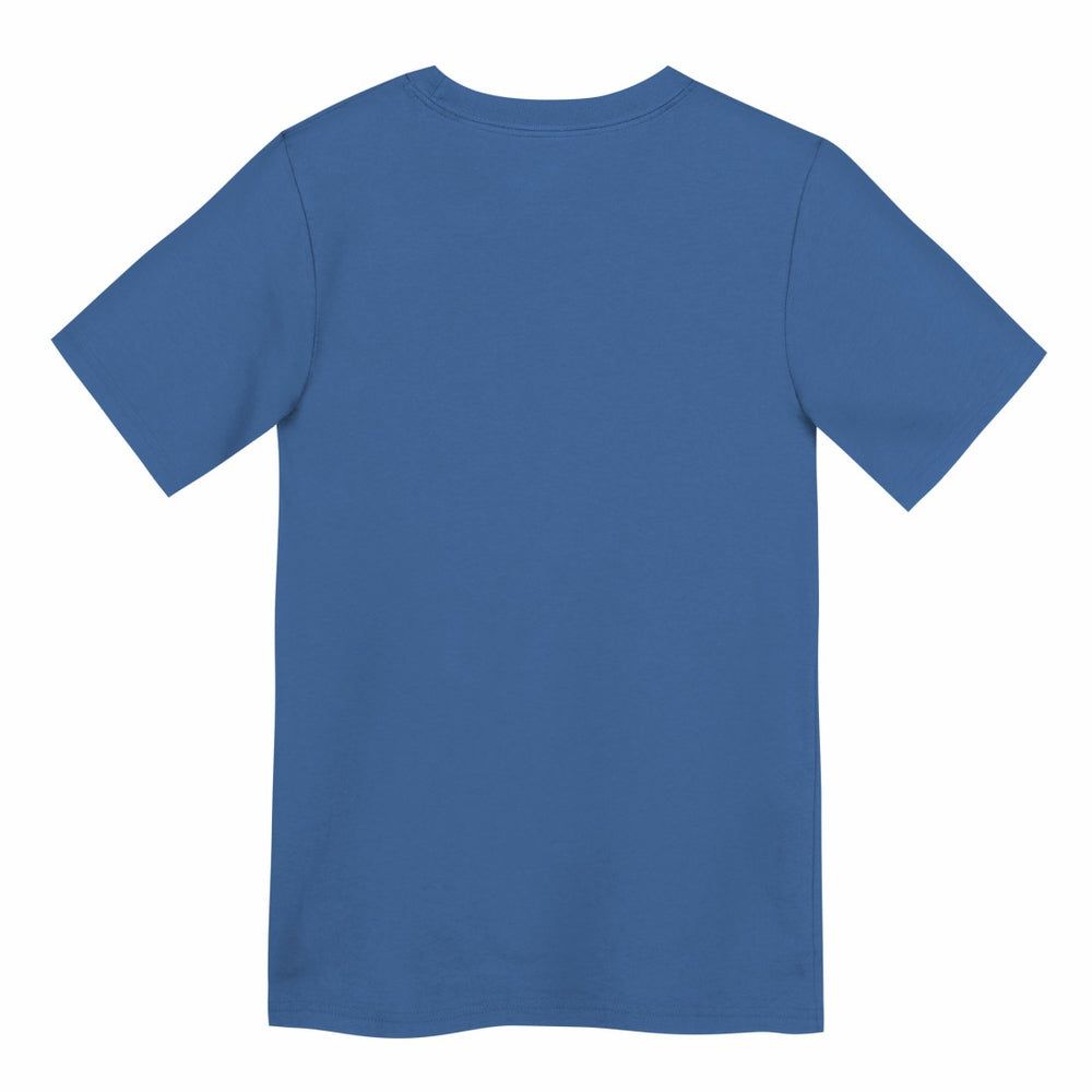 Detroit Lions Preschool Wordmark T-Shirt - Blue T-shirts