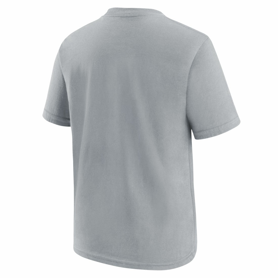 Detroit Lions Youth Icon Legend T-Shirt - Gray T-shirts