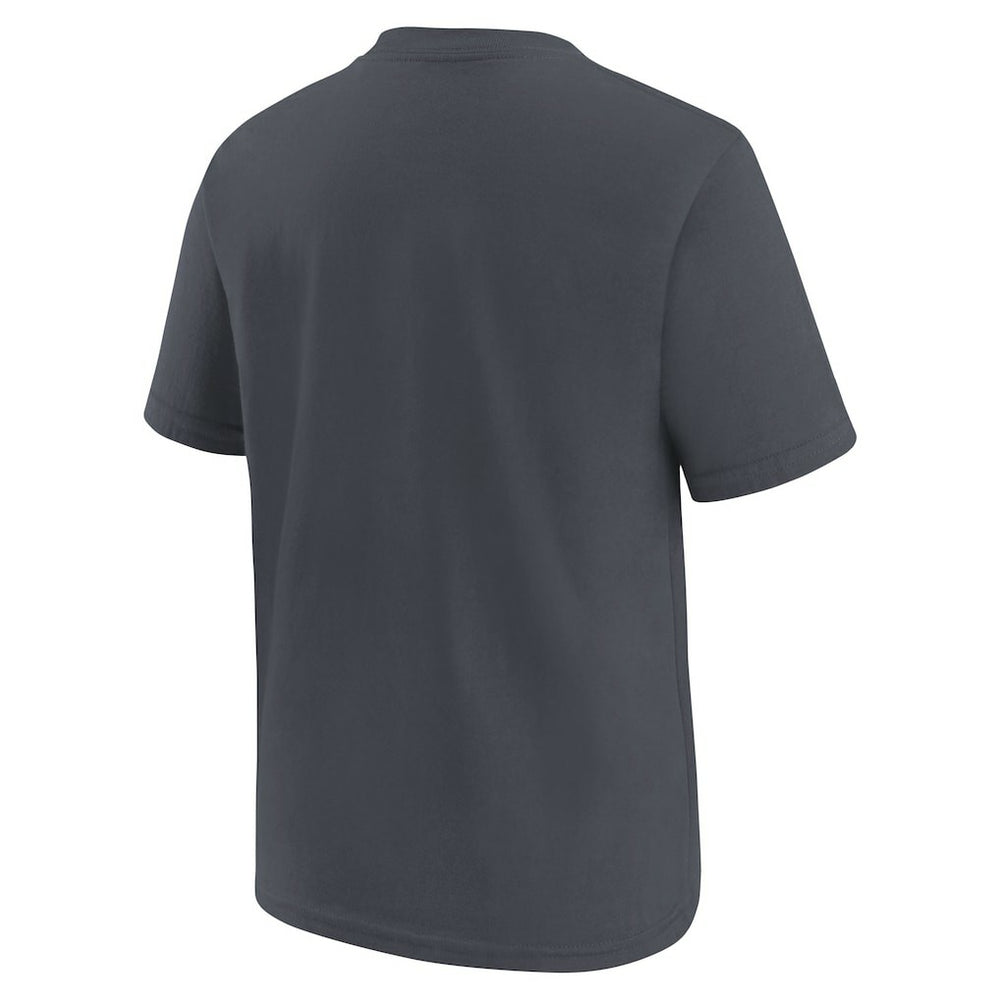 Houston Texans Youth Primary Logo Legend T-Shirt - Anthracite T-shirts