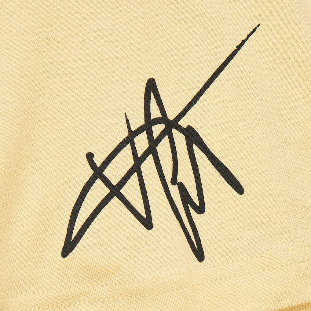 Vince Carter Toronto Raptors Premium T-Shirt Cream - Mitchell & Ness outlet